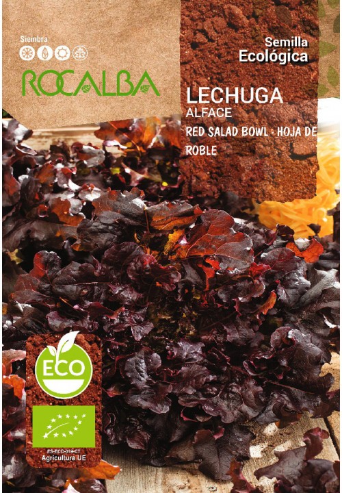 LECHUGA RED SALAD HOJA DE ROBLE ECO