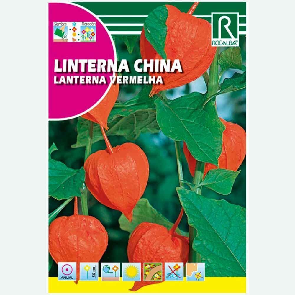 LANTERNA CHINESA - ENVELOPE DE SEMENTES 1G