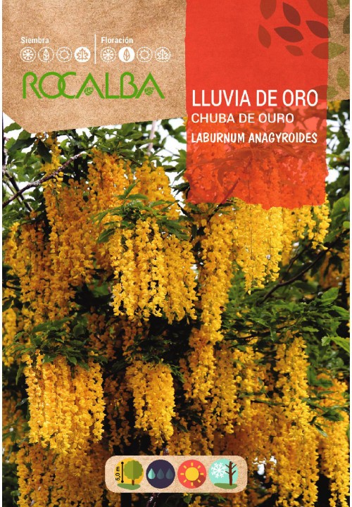 CHUVA DOURADA - ENVELOPE DE SEMENTES 1 GR.