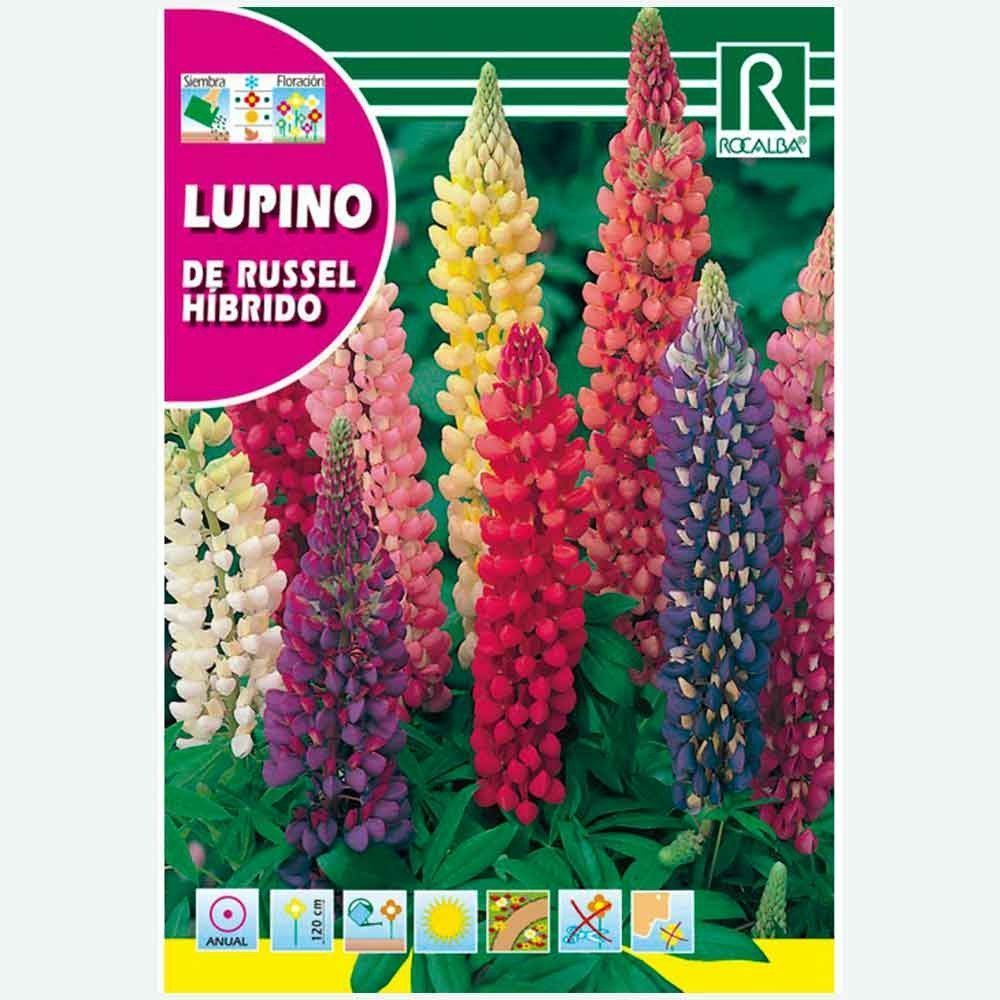 LUPINO POLYPGYLLE DE RUSSEL HIBRIDO - SOBRE DE SEMILLAS 4G