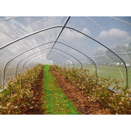 MALLA ANTI PLAGAS 2 METROS DE ANCHO