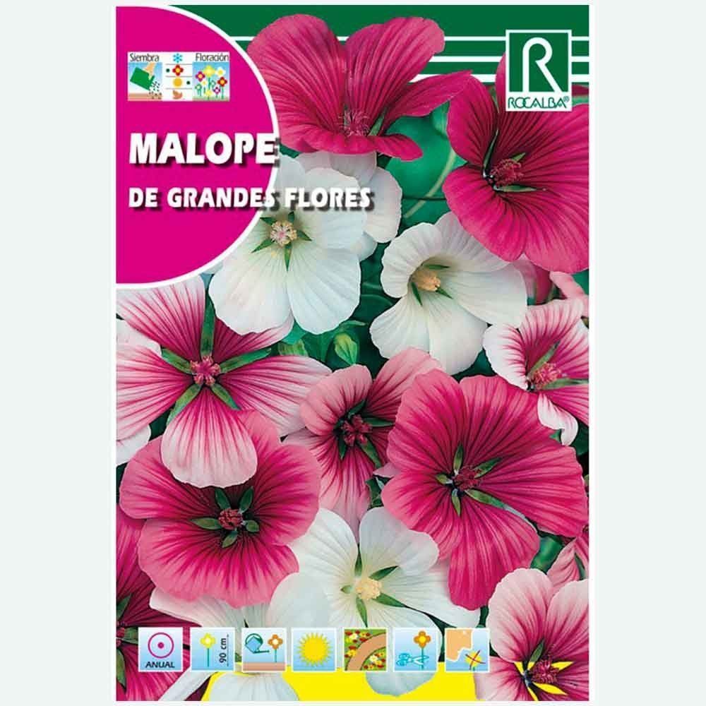 MALOPE DE GRANDES FLORES VARIADA - SOBRE DE SEMILLAS 8G