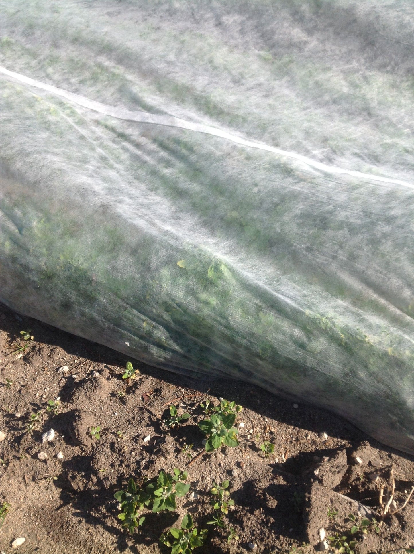 MANTA TERMICA 2X10 M - 17 GR/M2 VELO PROTECTOR