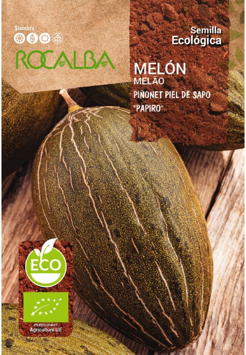 MELON PIÑONET PIEL DE SAPO PAPIRO ECO