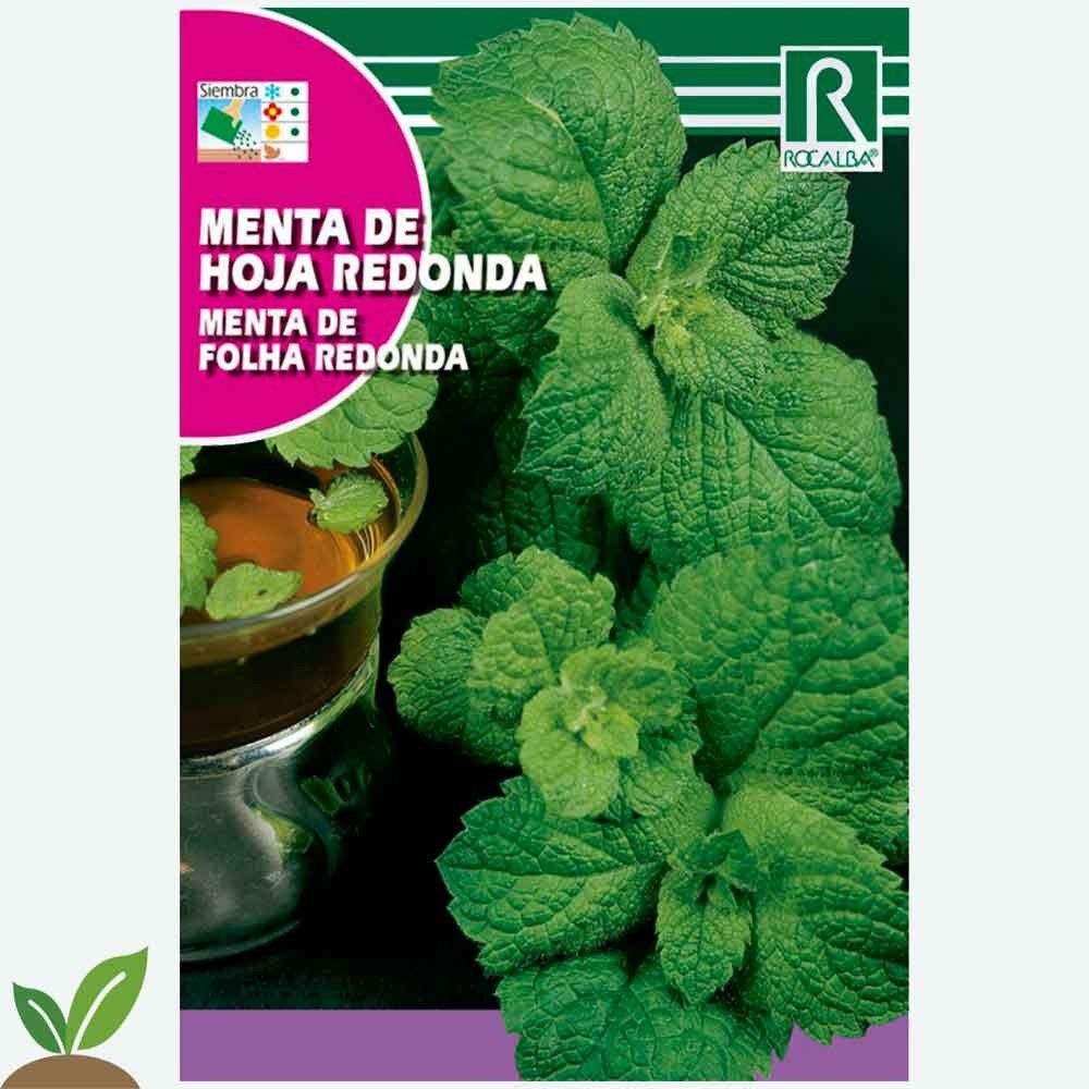 MENTA DE HOJA REDONDA - SOBRE DE SEMILLAS 0,5 G