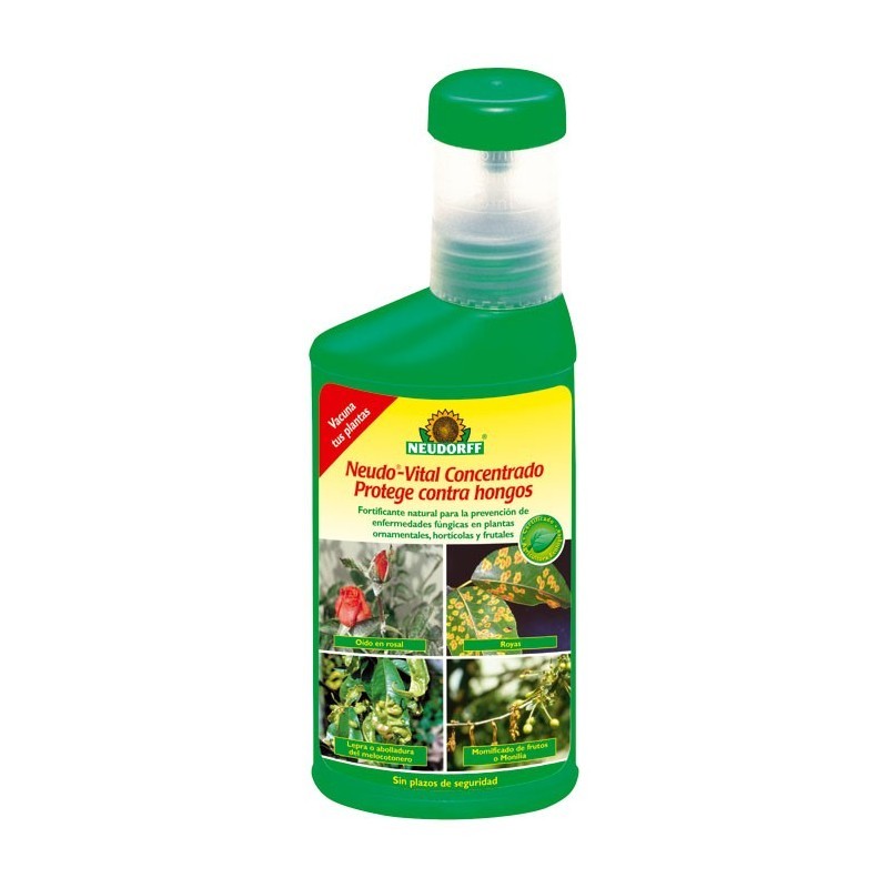 NEUDO VITAL CONCENTRADO 250ML - NUTRICION CONTRA HONGOS