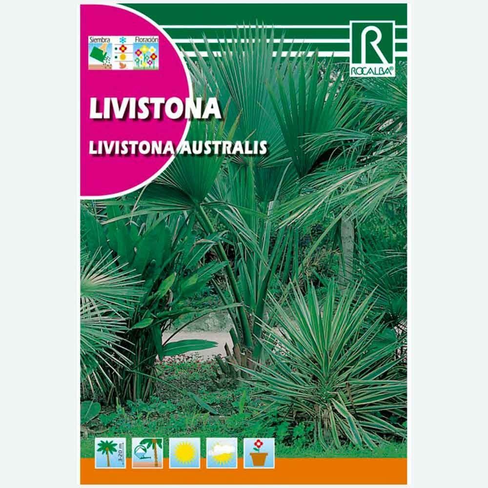 PALMERA LIVISTONA - SOBRE DE SEMILLAS 3G