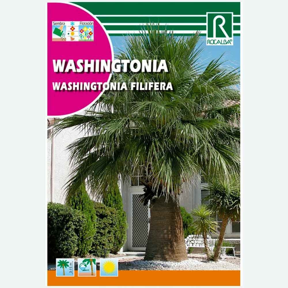 PALMERA WASHINGTONIA - SOBRE DE SEMILLAS 1G