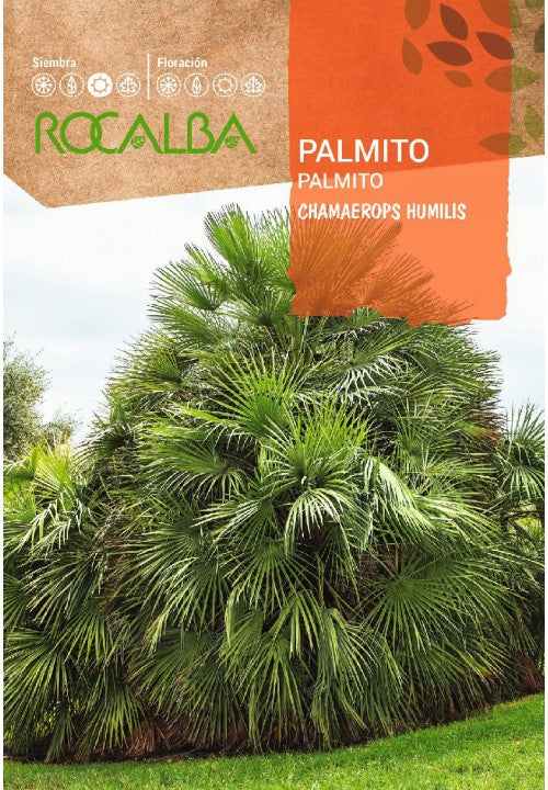 PALMITO - SOBRE DE SEMILLAS 5 aprox.