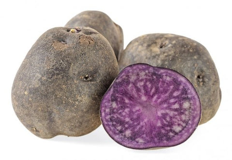 PATATA DE SIEMBRA VITELOTTE (MORADA - VIOLETA BANDEJA 100 BULBOS