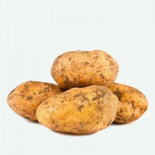 BATATAS SOUR SEED 5 KG CAL 55-65 - BATATA PELE AMARELA A GRANEL