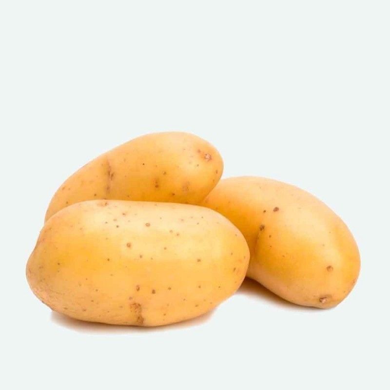 PATATAS DE SIEMBRA SPUNTA CAL 55-65 GRANEL -5 KG. PATATA PIEL AMARILLA