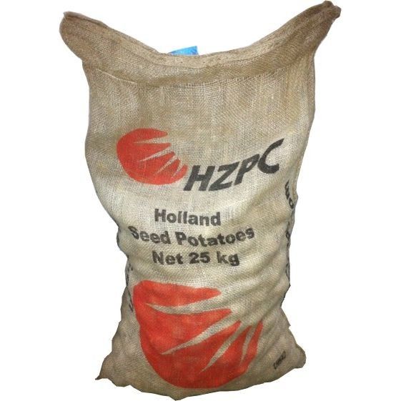 PATATAS DE SIEMBRA SPUNTA CAL 55-65 GRANEL - SACO 25 KG PATATA PIEL AMARILLA