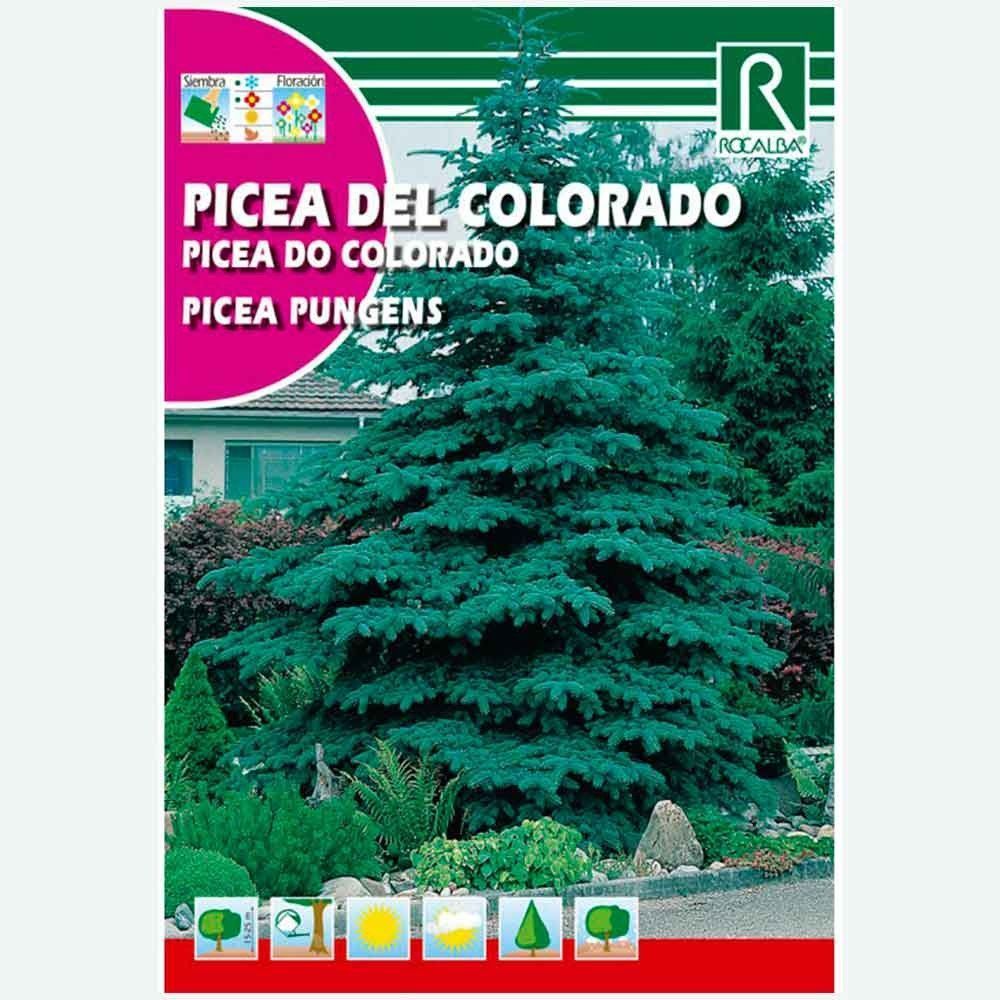 PICEA DEL COLORADO - SOBRE DE SEMILLAS 0.5 GR.