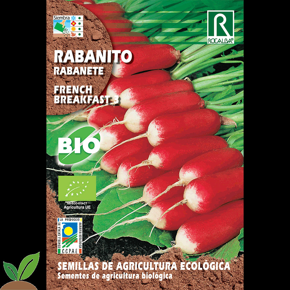 RABANITO FRENCH BREAKFAST 3 ECO