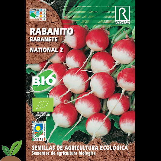 RABANITO NACIONAL 2 ECO
