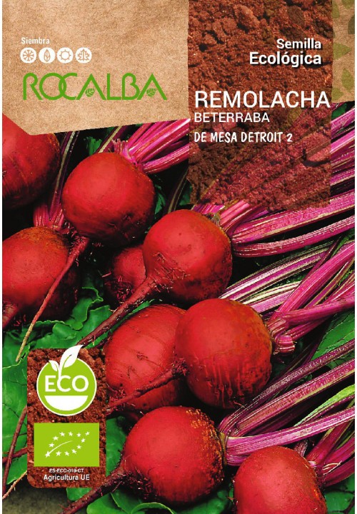 REMOLACHA DE MESA DETROIT 2 ECO