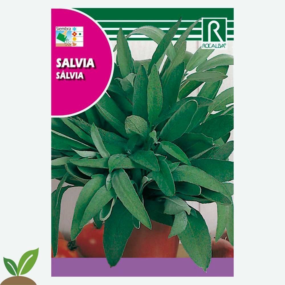 SALVIA - SOBRE DE SEMILLAS 2 G.