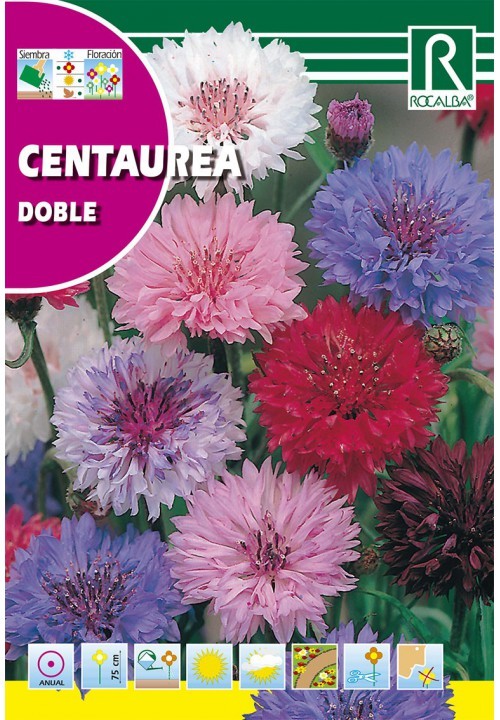 SEM. CENTAUREA DOBLE VARIADA 10GR - ROCALBA