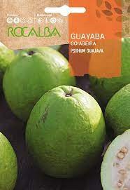 SEM. GOIABA 0,3 GR - ROCALBA