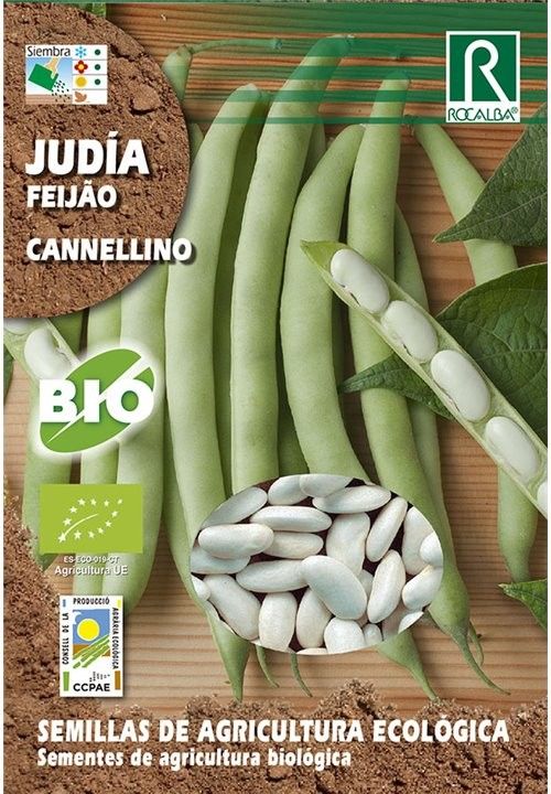 SEM. JUDIA CANNELLINO ECO 15 GR. - ROCALBA