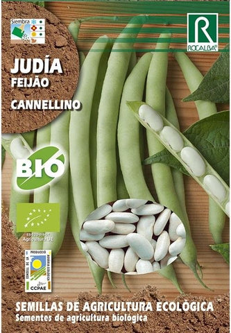 SEM. JUDIA CANNELLINO ECO 15 GR. - ROCALBA