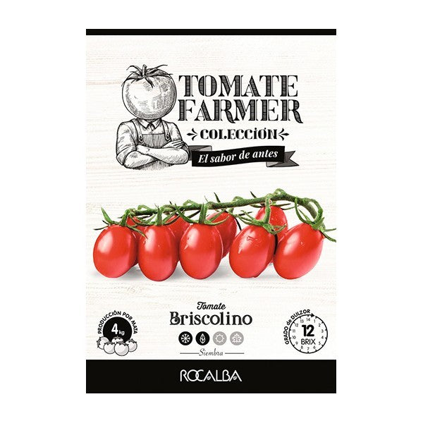 SEMILLA TOMATE BRISCOLINO 8-10GR - ROCALBA