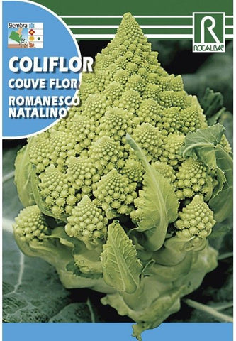 SEMENTES DE COUVE-FLOR ROMANESCO NATALINO 10 GR
