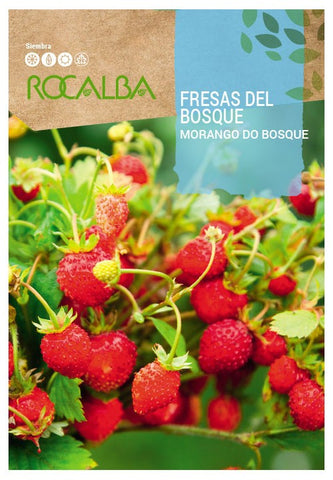 SEMILLAS FRESAS DEL BOSQUE 0.1 GR - ROCALBA