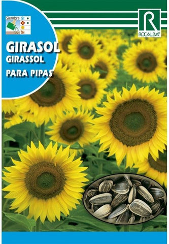 SEMILLAS PIPAS GIRASOL PARA CONSUMO 10 GR.
