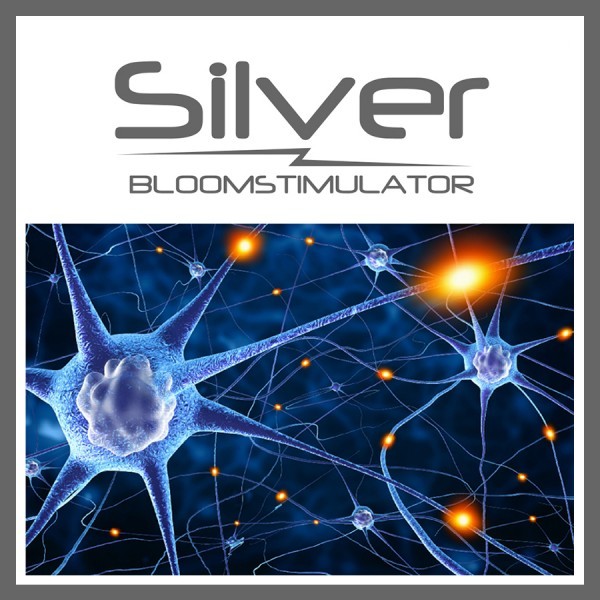 SILVER BLOOM STIMULATOR 300ml- ESTIMULADOR FLORACION AGROBETA