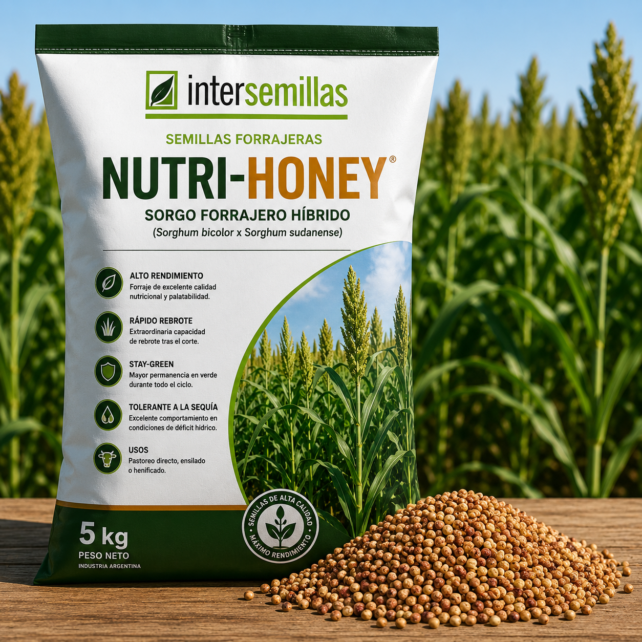 Semillas de Sorgo Forrajero Híbrido Nutri-Honey 5 kg (sorgo forrajero × pasto del Sudán)