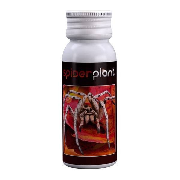 PLANTA ARANHA 15 ML - PROTEÇÃO CONTRA ÁCAROS