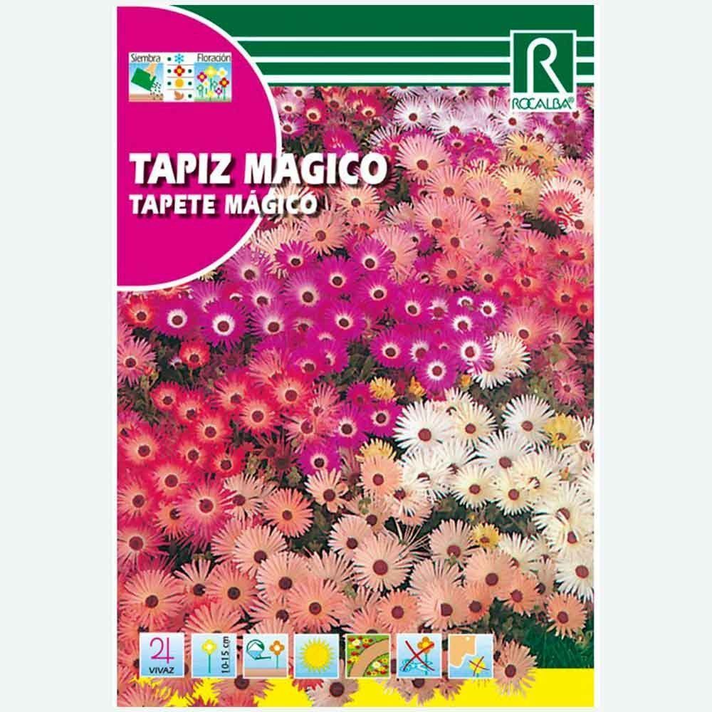 TAPEÇARIA MÁGICA FICOIDE CRINIFLORUM - ENVELOPE DE SEMENTES 3G