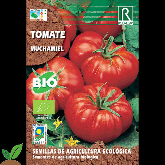 TOMATE MUCHAMIEL ECO