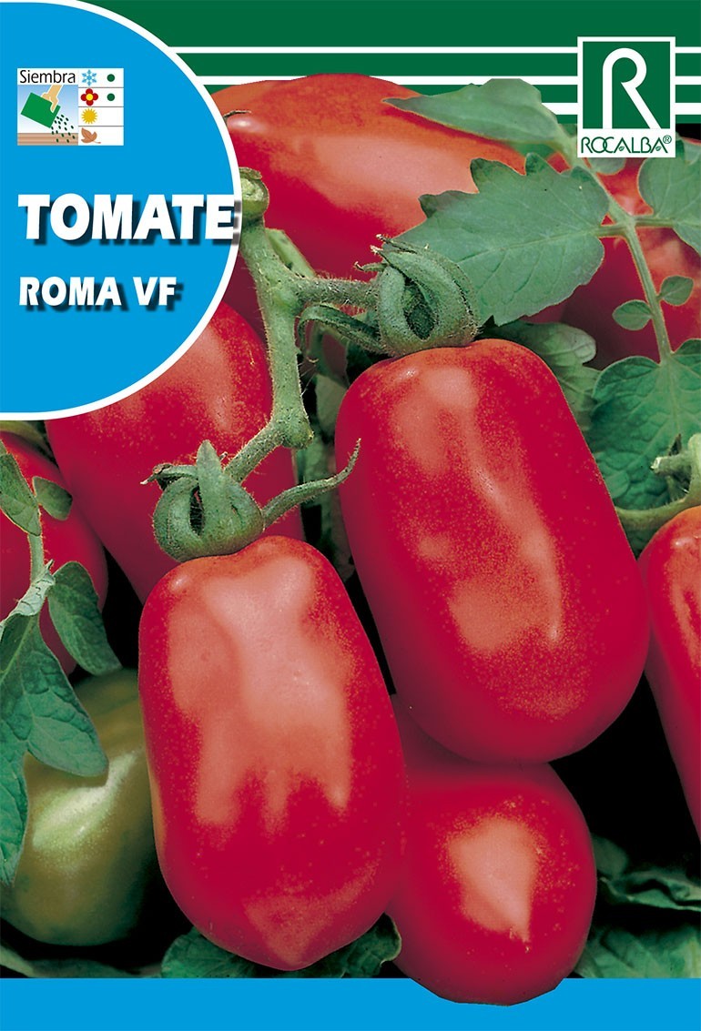 TOMATE ROMA VF