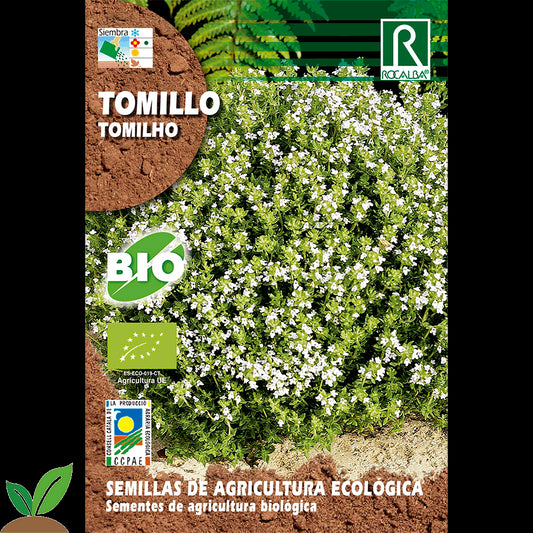 TOMILLO ECO