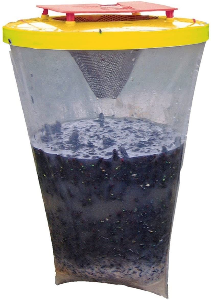 ARMADILHA PARA MOSCA + 3 ATRATIVOS - ECOLÓGICOS