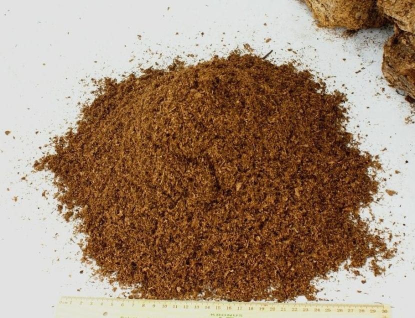 TURFA LOIRA 20L - ESFAGNO