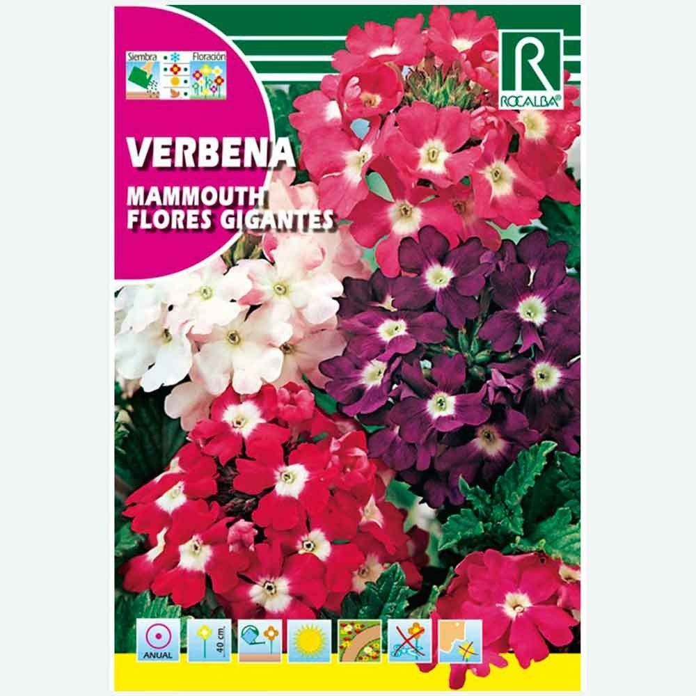 VERBENA SPARKLE HIBRIDA VARIADA - SOBRE DE SEMILLAS 0,5G
