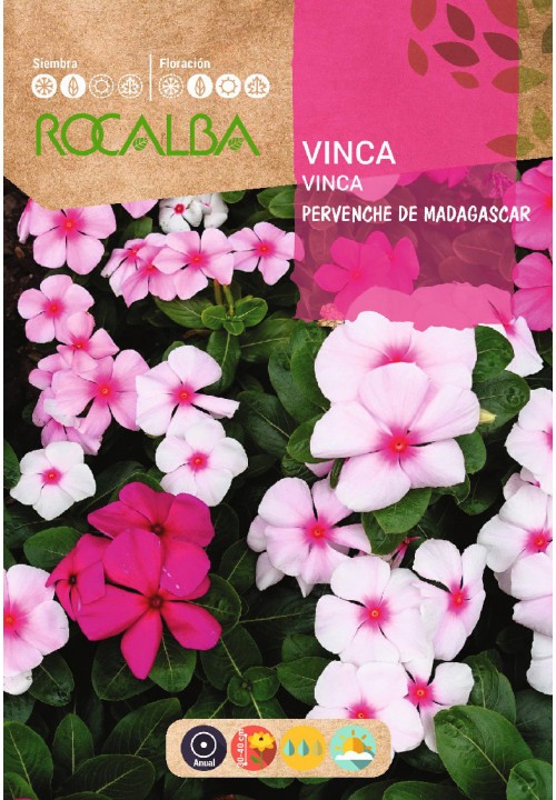 VINCA PERVENCHE DE MADAGASCAR VARIADA "PRINCIPE"- SOBRE DE SEMILLAS 0,5G