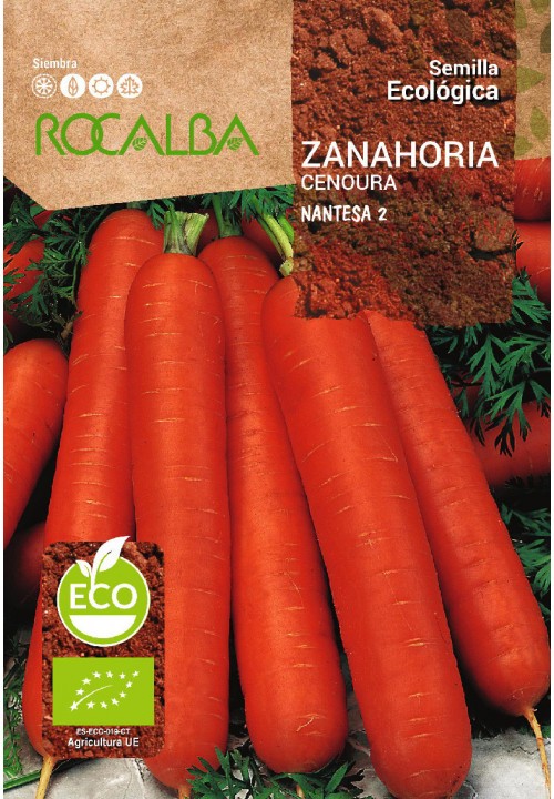 ZANAHORIA NANTESA 2 ECO