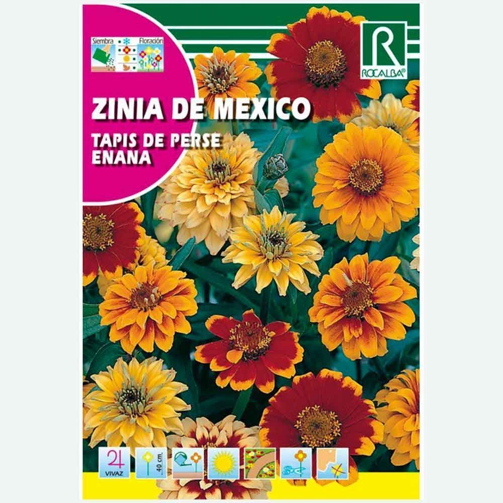 ZINIA DE MEXICO TAPIS DE PERSE ENANA - SOBRE DE SEMILLAS 3G