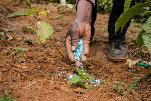 Maximiza el Rendimiento de tus Cultivos: La Guía Definitiva sobre Fertilizantes