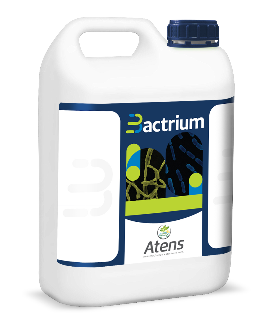 BACTRIUM 1 LITRO - BACTERIAS BENEFICIOSAS ECOLOGICAS