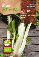 ACELGA VERDE PENCA ANCHA ECO