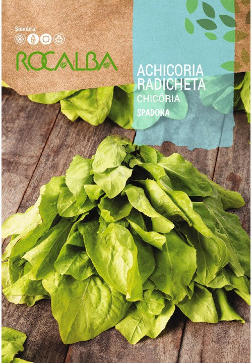 ACHICORIA RADICHETA - SPADONA 10GR