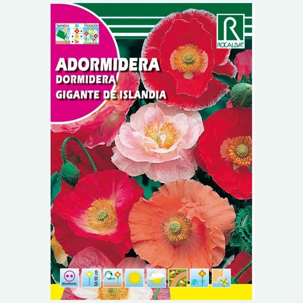 ADORMIDERA GIGANTE DE ISLANDIA - SOBRE DE SEMILLAS 1G
