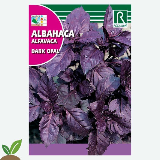 ALBAHACA DARK OPAL - SOBRE DE SEMILLAS 4G