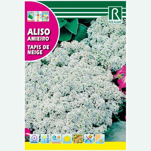 ALISO TAPIS DE NEIGE - SOBRE DE SEMILLAS 4G